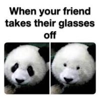 images.jpg