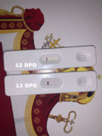 7FBE067A-8FB4-41A0-B752-9D68CDFEC98B.jpeg