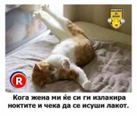 FB_IMG_1625519041506.jpg