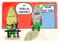 FB_IMG_1625157791789.jpg