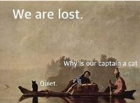 0DD05895-1C71-4CE9-AF9A-A40C372539E0.jpeg