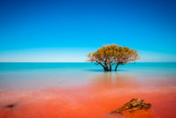 Crab-Creek-Broome-Australia-red-dirt-meets-sea.jpg