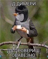 FB_IMG_1627067826575.jpg