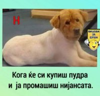 FB_IMG_1627069000781.jpg