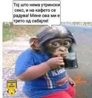 98D557FD-D13B-4A5C-86E7-B61F5B10395C.jpeg