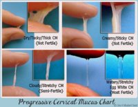 cervical-f.jpg