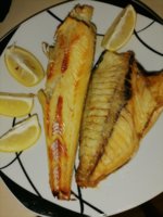 IMG_20210820_155155.jpg