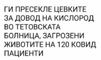 FB_IMG_1629726038989.jpg