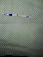 20210825_094435.jpg