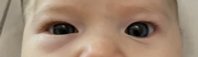 E03DE64E-2371-4D19-860C-38F49083E430.jpeg