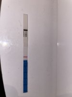 3E7831DB-BEEE-40E8-8481-57FA29CD12C7.jpeg