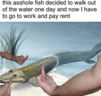 FB_IMG_1629784778083.jpg