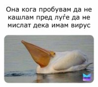 FB_IMG_1630435187192.jpg