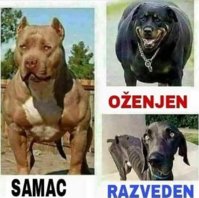FB_IMG_1630704173622.jpg
