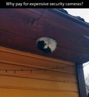 F4D50B6D-8485-4652-AB10-CACC27F5CA2E.jpeg