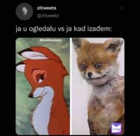 FB_IMG_1630264341217.jpg