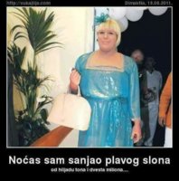 FB_IMG_1631086493122.jpg