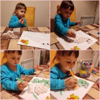 PhotoCollage_1631483322139.jpg