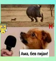 FB_IMG_1632252400500.jpg