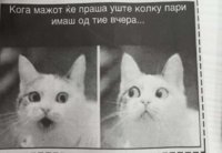 FB_IMG_1631613494144.jpg