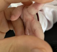 98397F4D-2056-44E8-9756-2A91CAA65AC8.jpeg