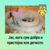 FB_IMG_1632227695109.jpg