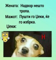 FB_IMG_1633427581688.jpg
