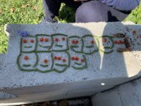24D047D6-7977-4440-B425-A688E195CA6B.jpeg