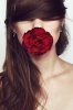 self_made_rose_by_LittleFlair_large.jpg