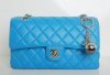 Blue Bag DG.jpg