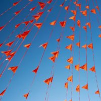 low-angle-view-of-orange-buntings-against-clear-royalty-free-image-1634214038.jpg