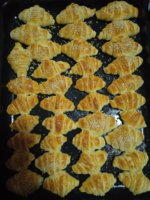 IMG_20211028_194046.jpg