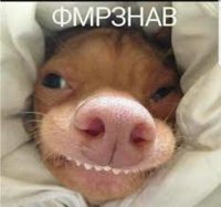 90DE2DFF-8C78-4E70-A4AA-3127B378CC13.jpeg