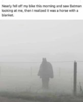 FB_IMG_1635816772884.jpg