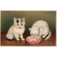 AMB-Vintage-Cat-Kitten-Postcard-pic-1A-2048_10.10-61-f.jpg