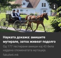 Screenshot_20211106-203627_Messenger.jpg