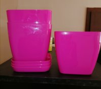 IMG_20211113_122949.jpg