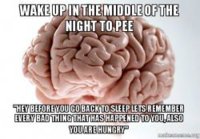 wake-up-in-bwbngf.jpg