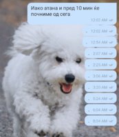 Screenshot_20211118-092447_Viber.jpg