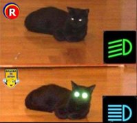 FB_IMG_1638130361039.jpg