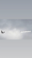 48243E07-6E4C-4C9D-95AB-5212D7EEFE75.png