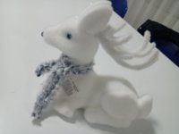 IMG_20211129_194329690.jpg