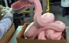 pink-slime.jpg