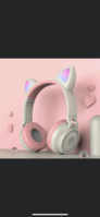 FA328F85-AB48-4E78-8FEB-E2F83FE595B6.png
