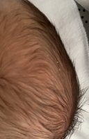 93B0C3D0-FEB6-4643-B914-9723616A6DE0.jpeg