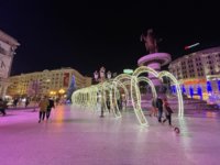 5D7C02CA-8648-4B81-8B38-10C45ED62C72.jpeg