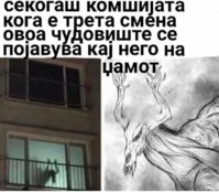 FB_IMG_1640460202260.jpg