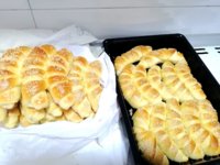 IMG_20211225_101702.jpg