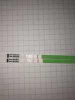 A202874B-6A3E-4408-AC12-525CF611F3E5.jpeg