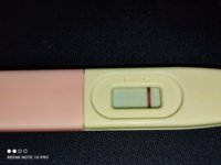 IMG_20220104_175250.jpg